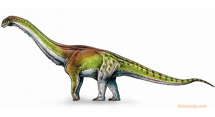 Изображение наибольшего динозавра